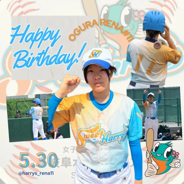 岐阜女子硬式野球クラブ【岐阜水都ハリーズ】 | 岐阜県西濃地方を拠点