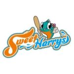 岐阜水都ハリーズ"女子硬式野球クラブチーム"
